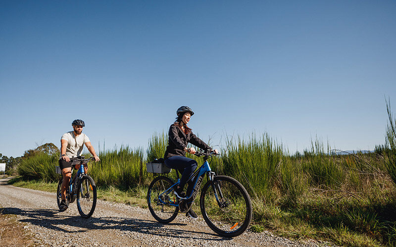 Ebiking-in-Autumn-11