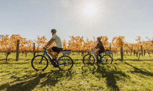 Bike Hire Nelson