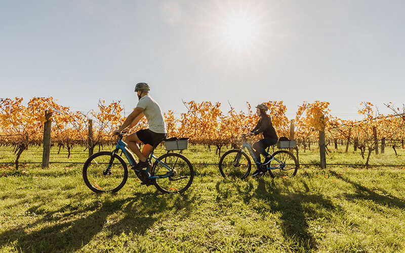 Ebiking-in-Autumn-2