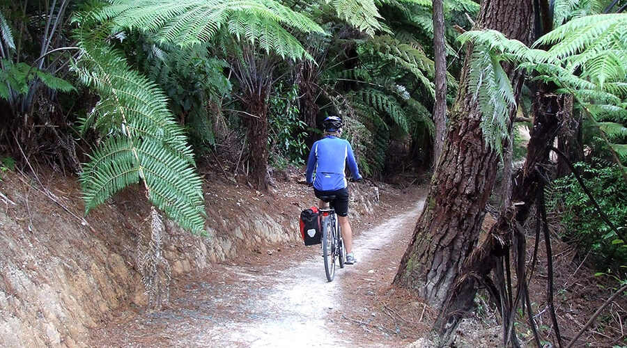 The-Gentle-Cycling-Co-Kaiteriteri