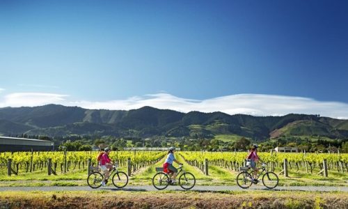 Wine cycling on the Waimea Plains