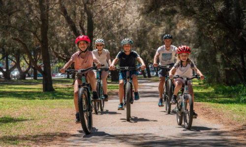 Family cycling through forest on cycling tour