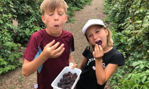 Tasty Treats and Diverse Landscapes – The Great Taste Trail