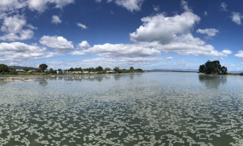 Tāhunanui Beach – One Of The Best!